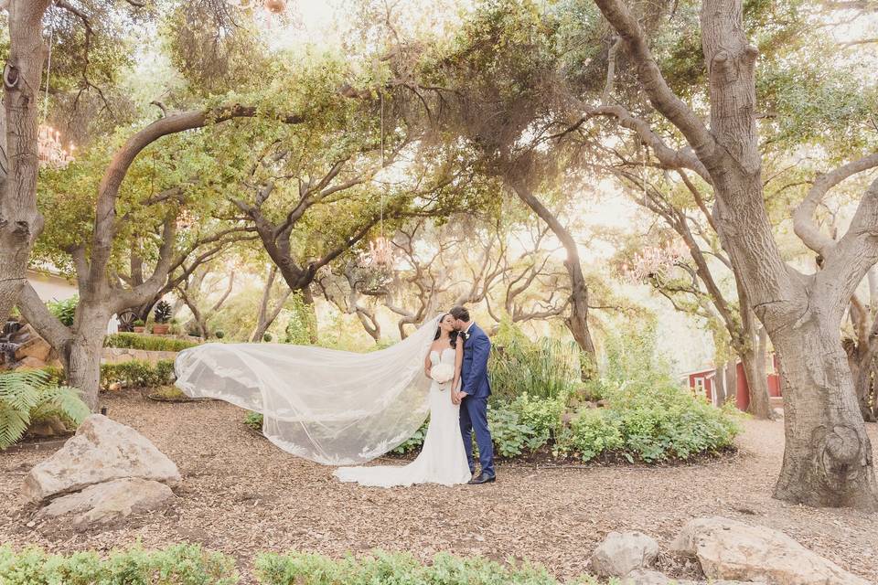 Veil Toss under Chandeliers