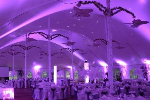 Fancy purple lights