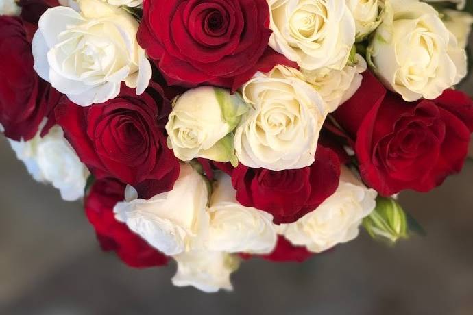 Classic red and white roses