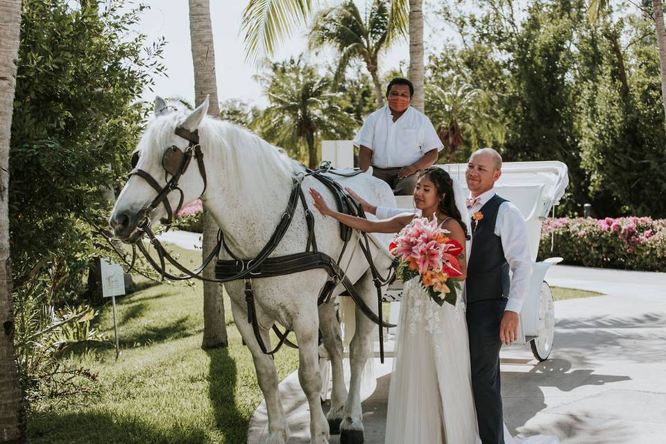 White Horse at wedding
