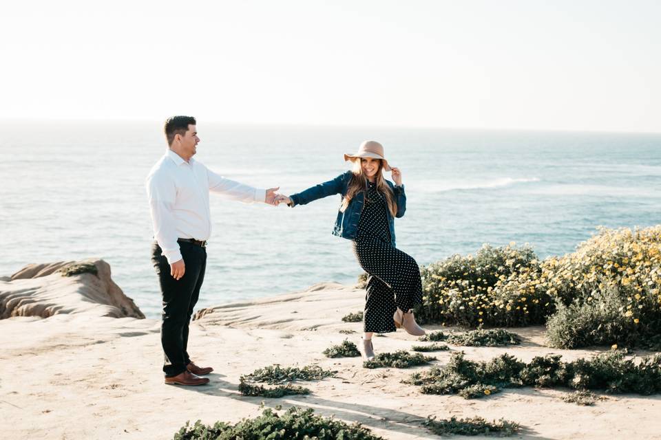 Beachside proposal