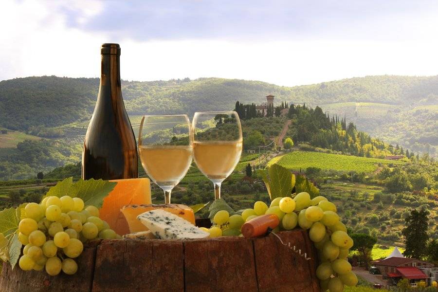 Tuscany's Wine Region