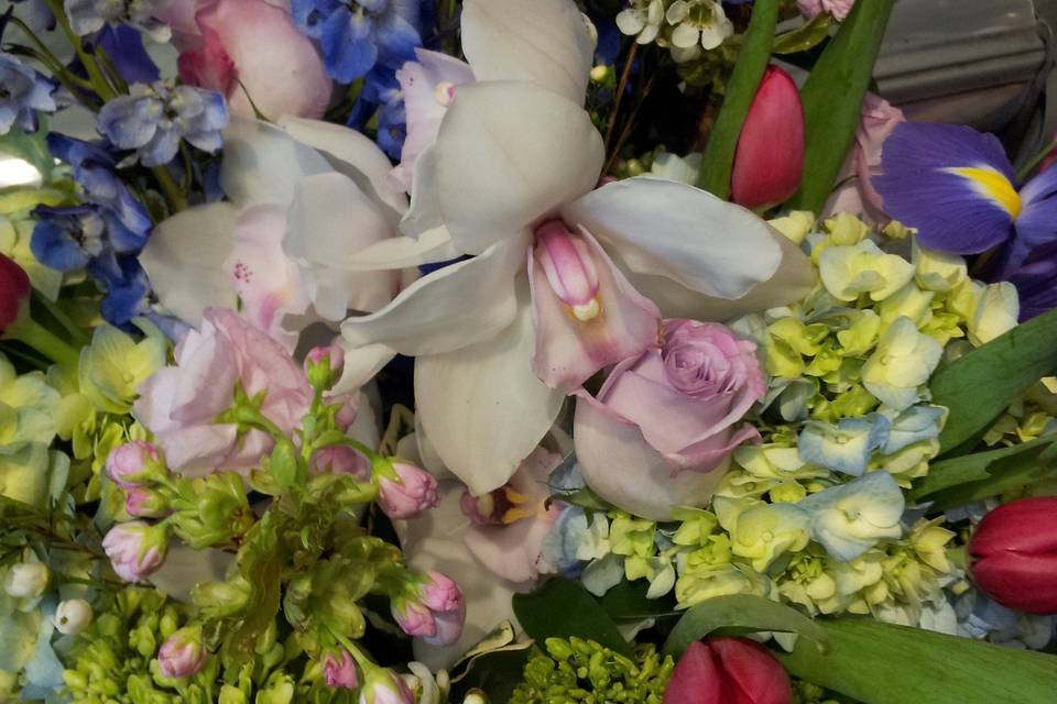 Orchid, peonies, iris flowers