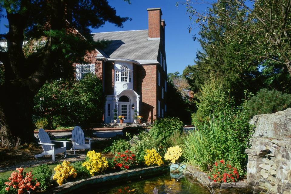 Garden and pond