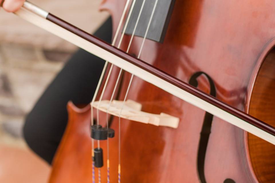 Cellist warming up