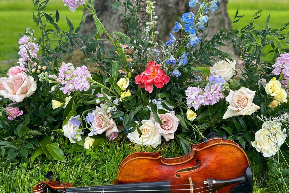 Solo violin wedding