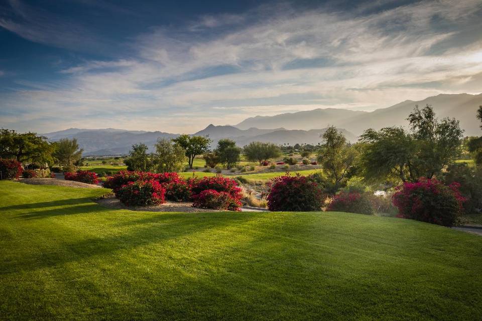 Breathtaking Views