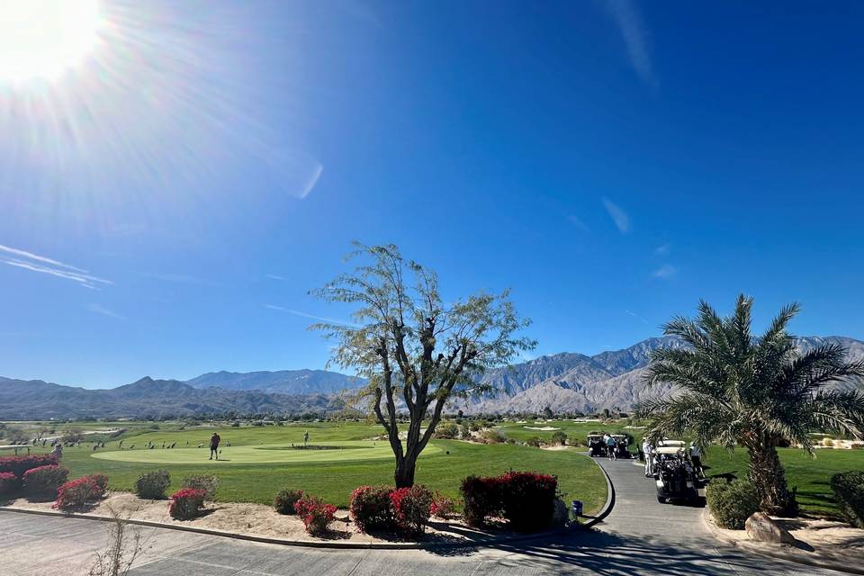 Sunshine and Blue Skies
