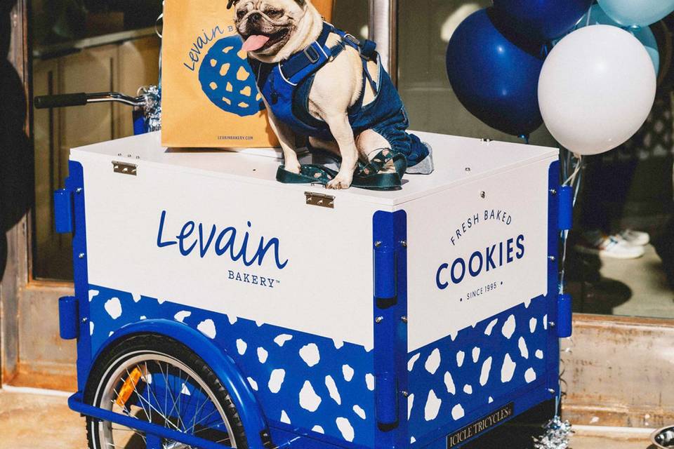 Levain Bakery Trike