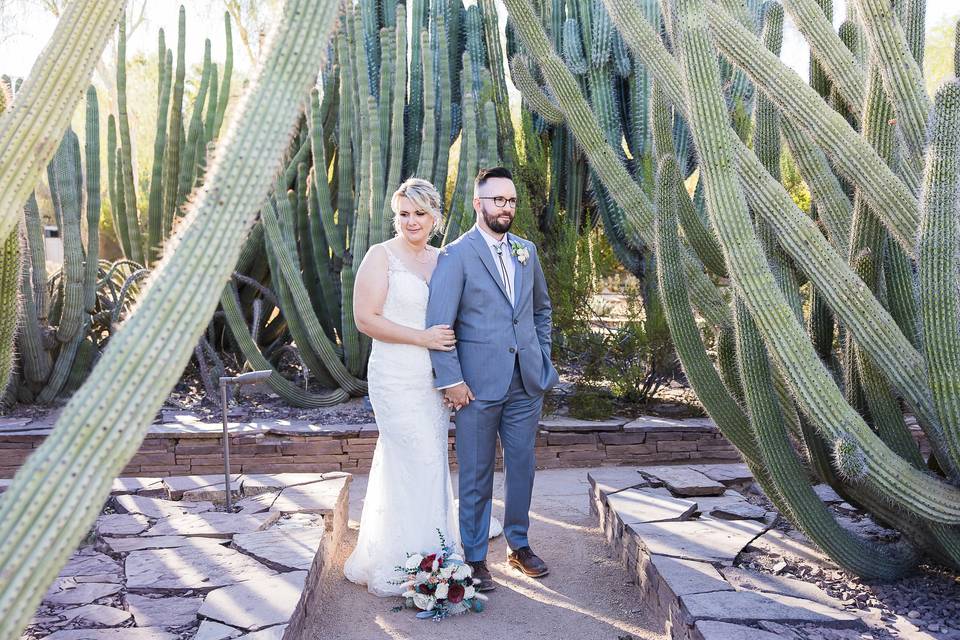The cactus