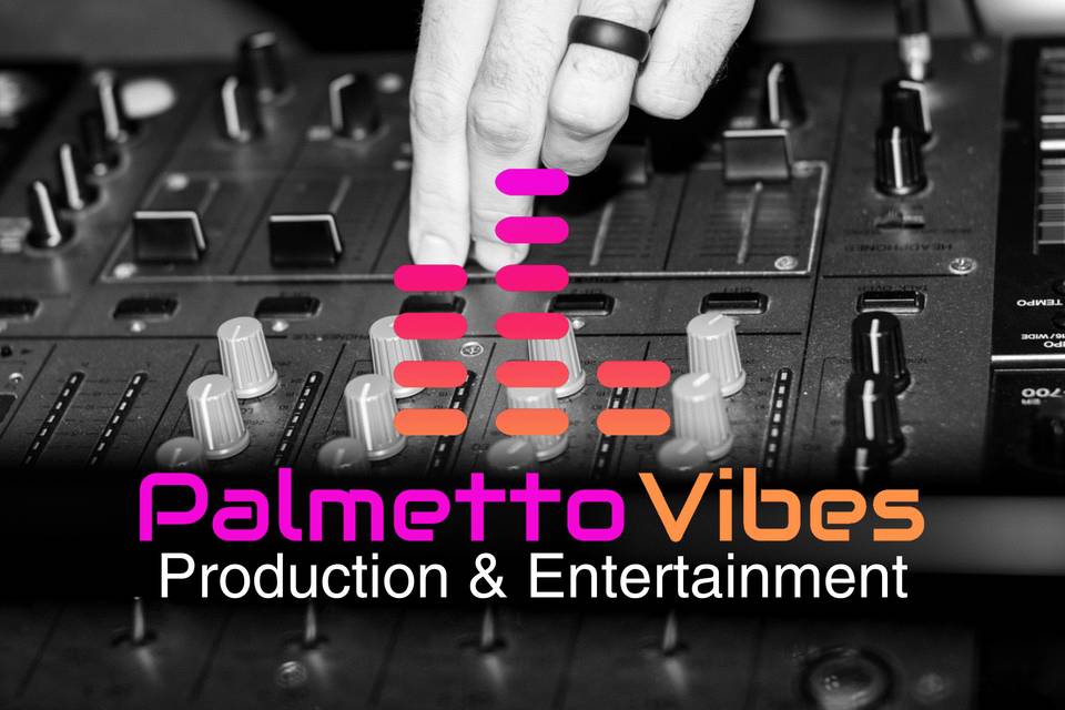 Palmetto Vibes Production & Entertainment