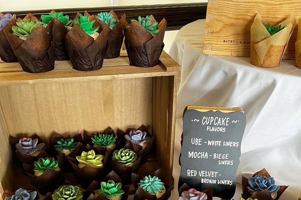 Succulent Cupcakes