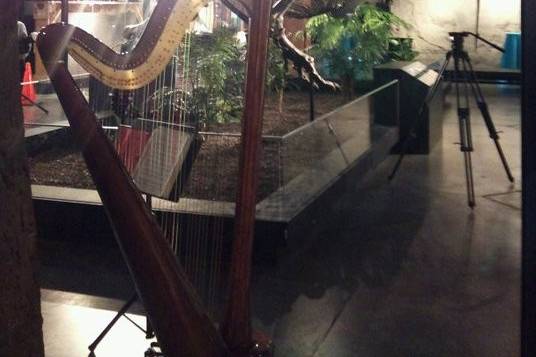 Harpist and Soprano, Leah Jorgensen