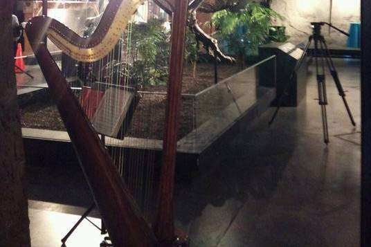 Harpist and Soprano, Leah Jorgensen