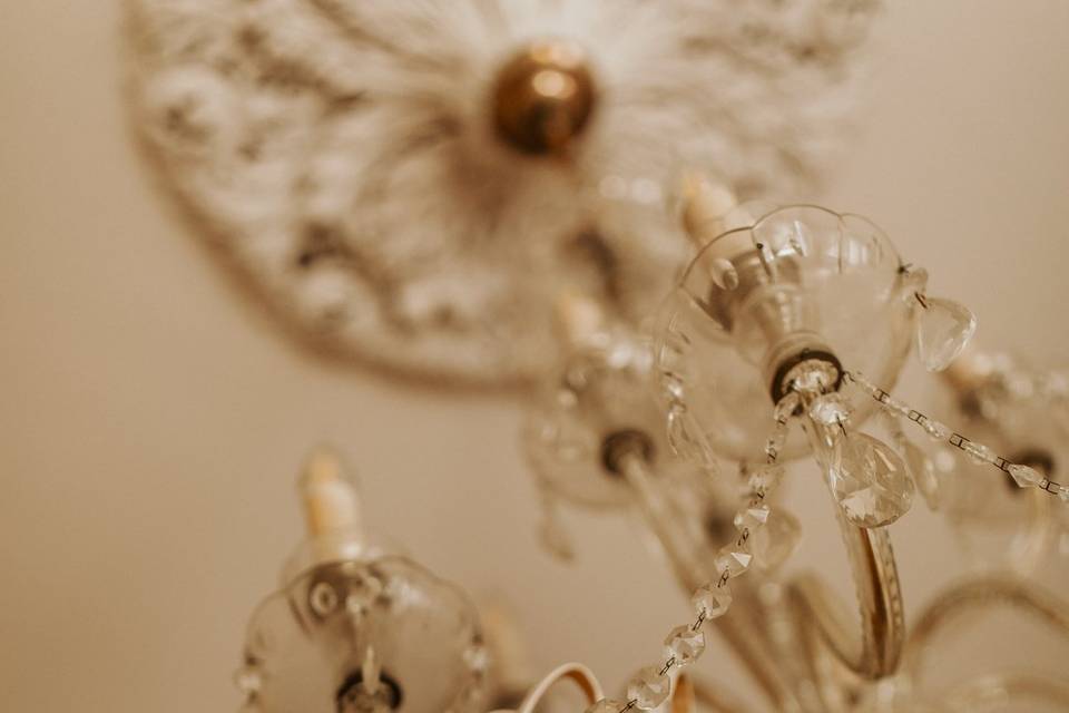 Detail Shot