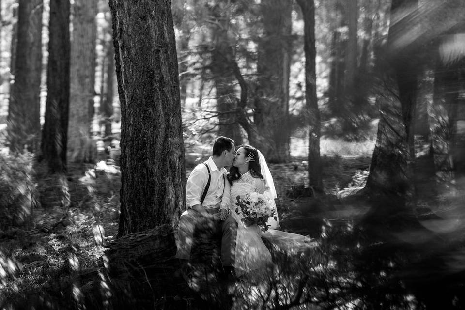 Love in the woods