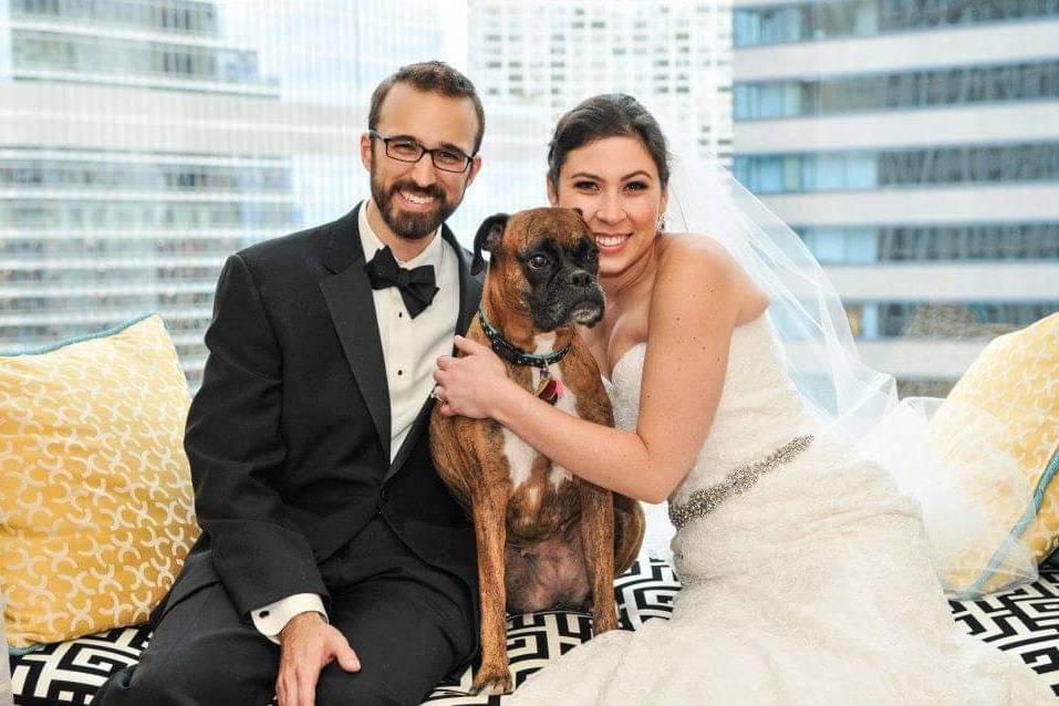 Wedding photos with ring dog