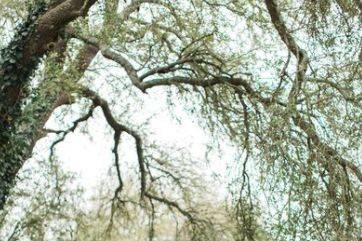 Tara Barnes Photography
