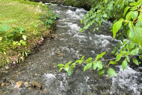 Bear Creek flowing through