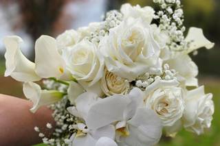 Flowers by Bethany
