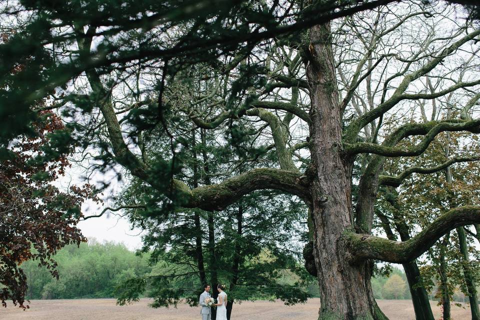 Hidden Vineyard Wedding Barn