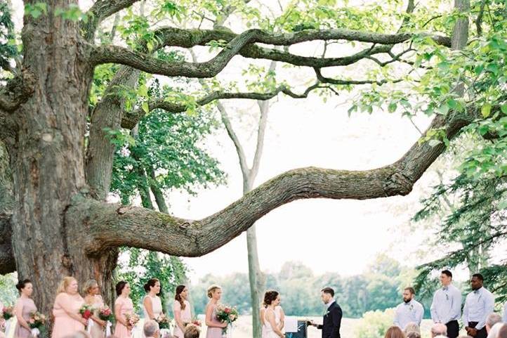 Hidden Vineyard Wedding Barn