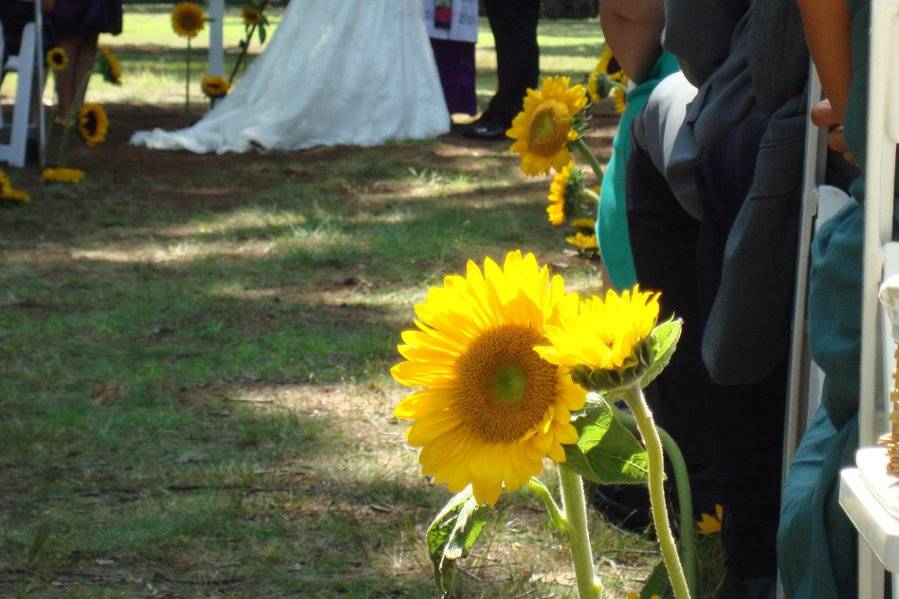 Outdoor wedding ceremony