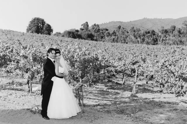 Napa Winery