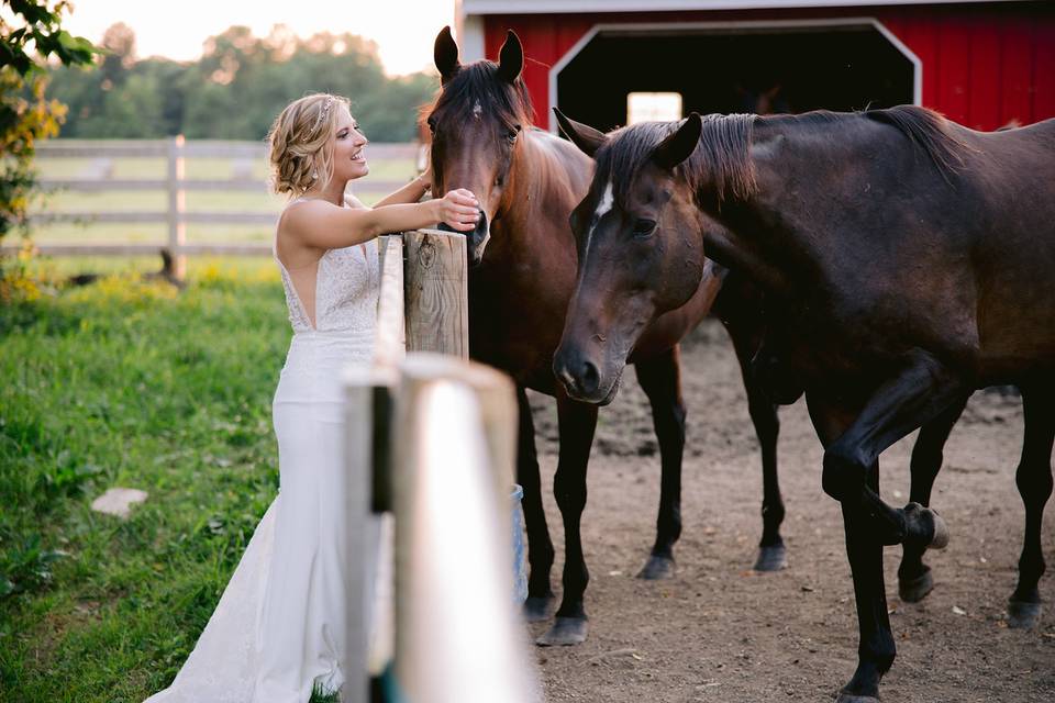 Our horses love our couples