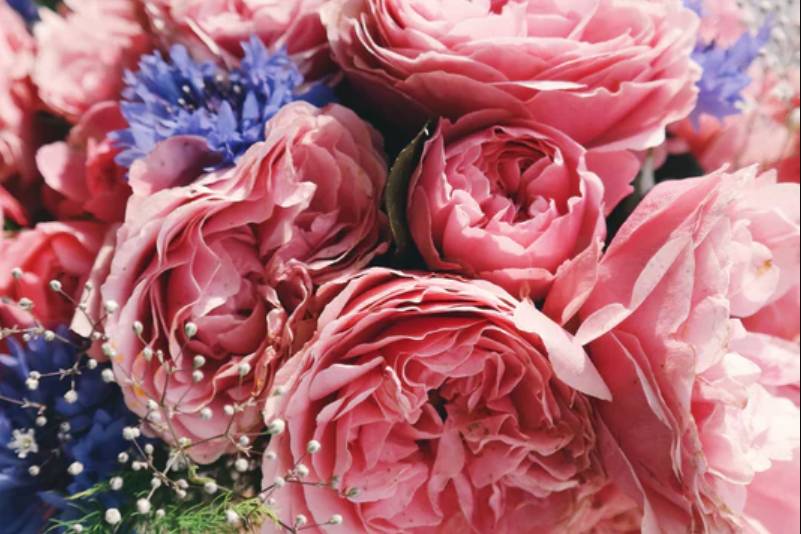 Juliette Floral Design