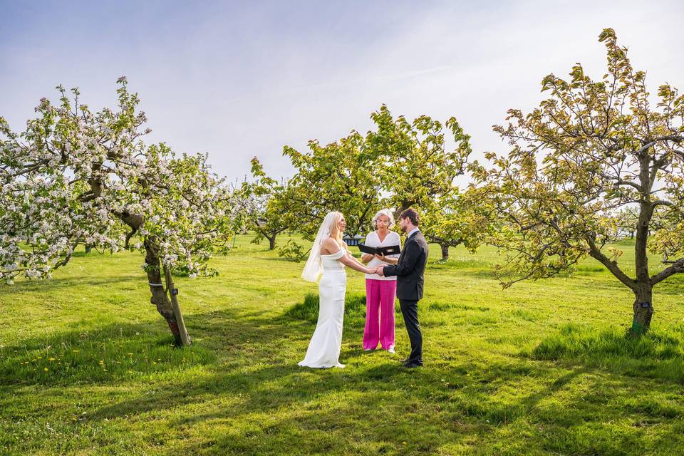 Mount Vernon Elopement
