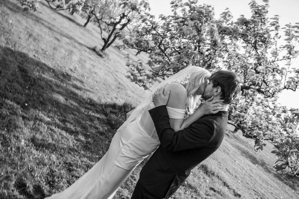 Mount Vernon Elopement