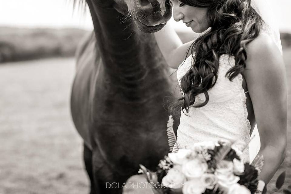 Bride & Horse