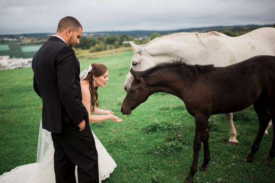 MKJ Farm Barn Weddings