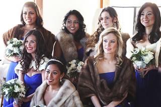 Beautiful Brides by Vesta