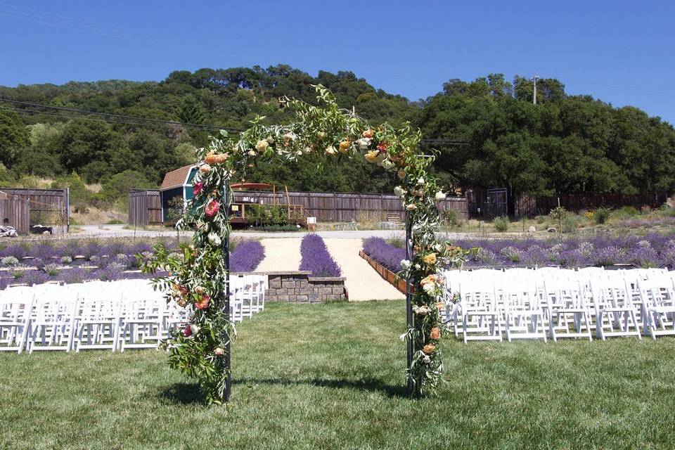 The Lavender Labyrinth and Flower Garden