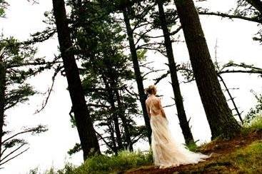 Stephanie Pool Photography