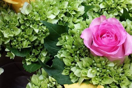Torres Floral Design