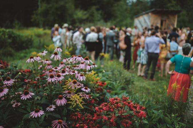 Pollinator gardens