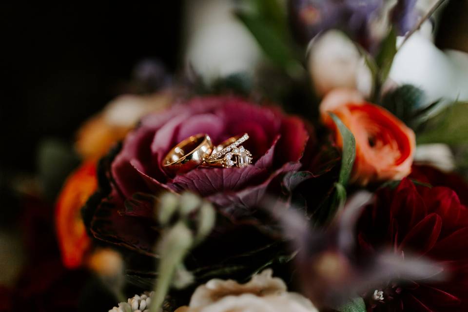 Lara Pucci Photography