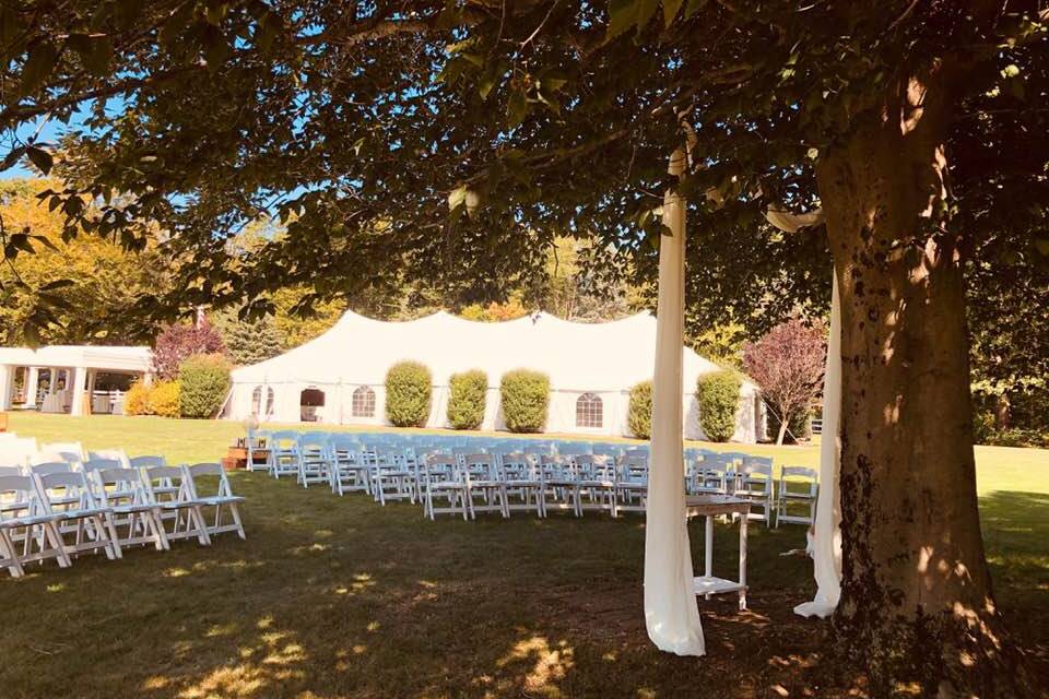 Circular ceremony under tree