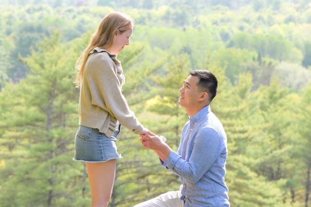 The Perfect Proposal