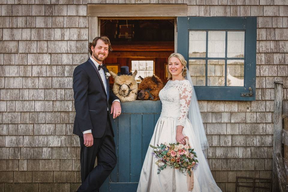 Happy couple with alpacas