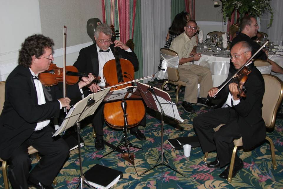 The Dillingham String Quartet