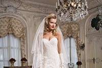 Bridal gown and veil