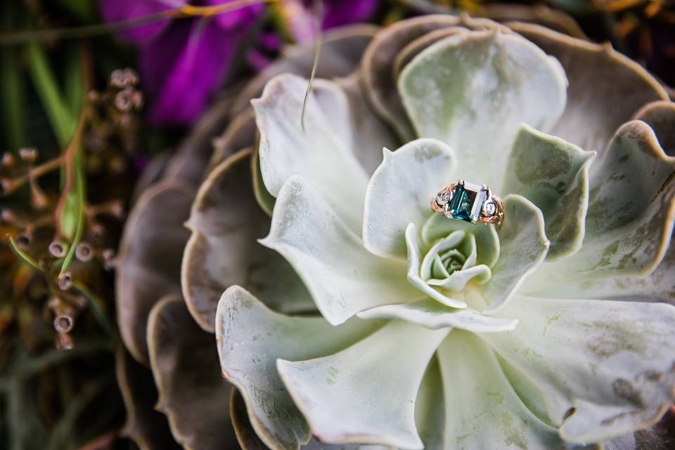 Rings and succulents!