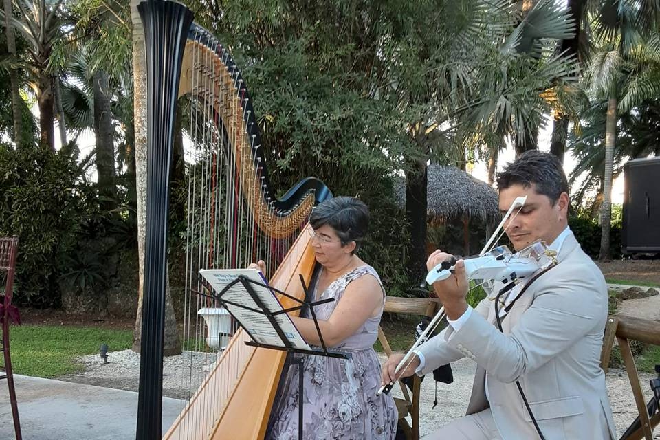 Assai Event Musicians
