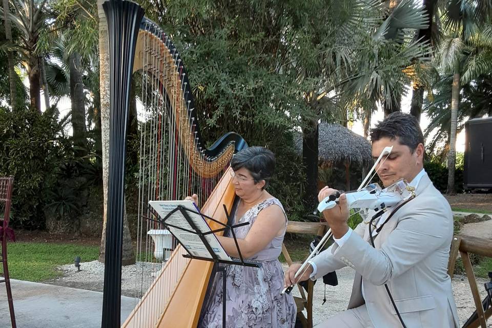 HARP & VIOLIN DUO