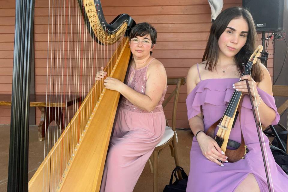 BLUSH HARP & VIOLIN