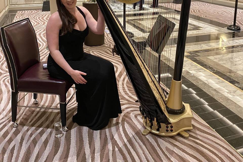 Harpist - Regent Cruise Event